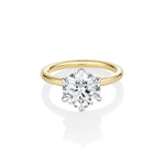 3.01ct Camille Round Ring [Yellow Gold]
