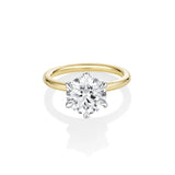 3.01ct Camille Round Ring [Yellow Gold]
