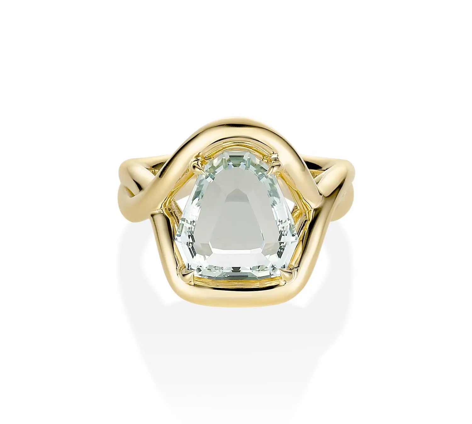 4.81ct Snakehead Green Beryl Marrow x Sammi Florence Ring [yellow gold]