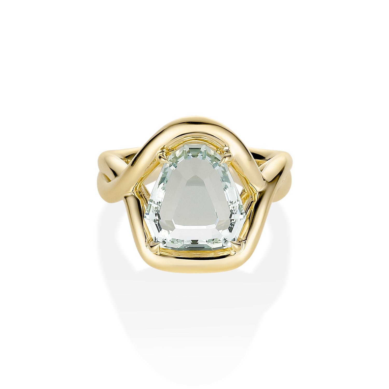 4.81ct Snakehead Green Beryl Marrow x Sammi Florence Ring [yellow gold]