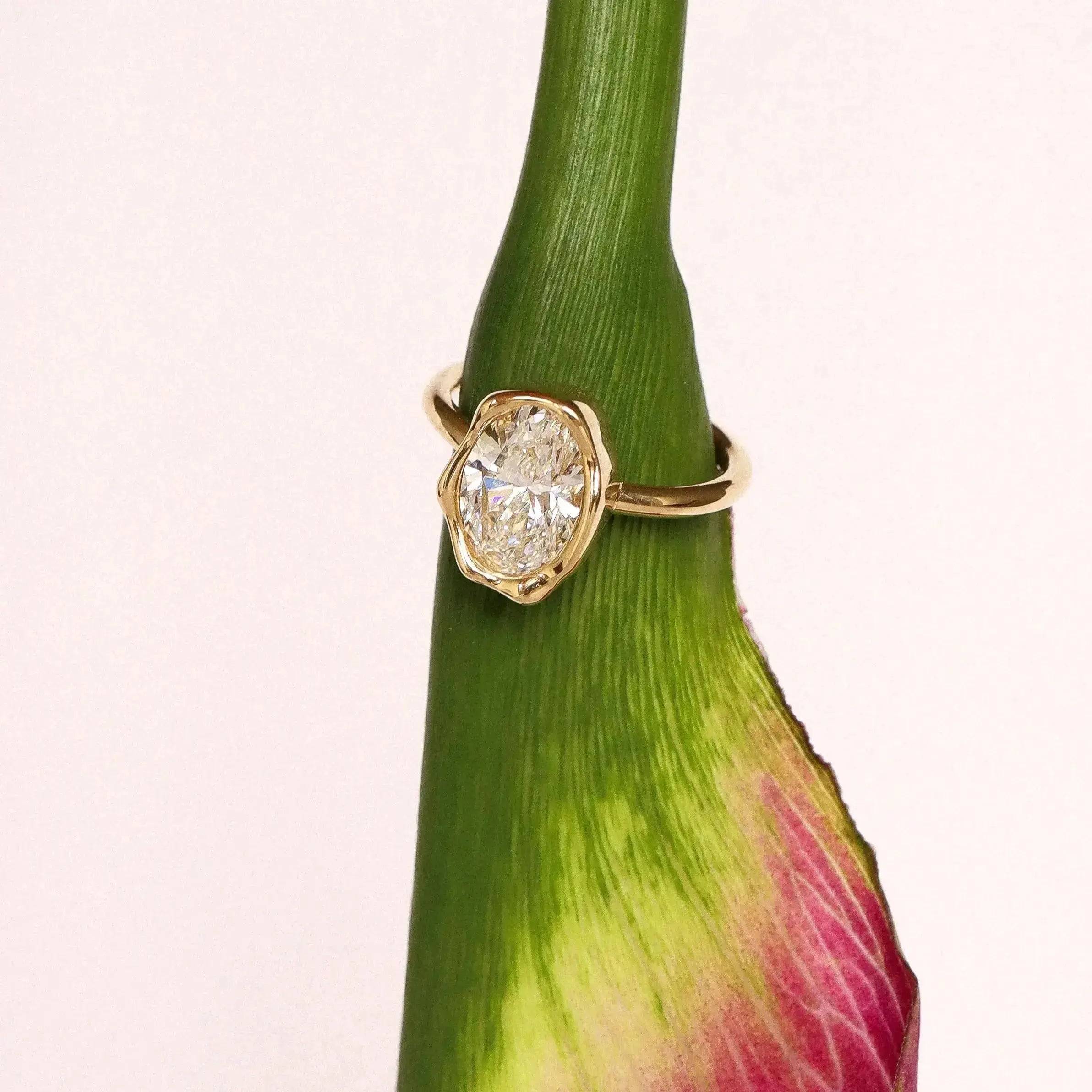 Abstract Bezel Diamond Ring on plant