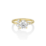 The Amelia Round Cluster Engagement Ring [Yellow Gold]