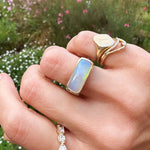 Hand wearing multiple gold rings with gemstones against a blurred natural background