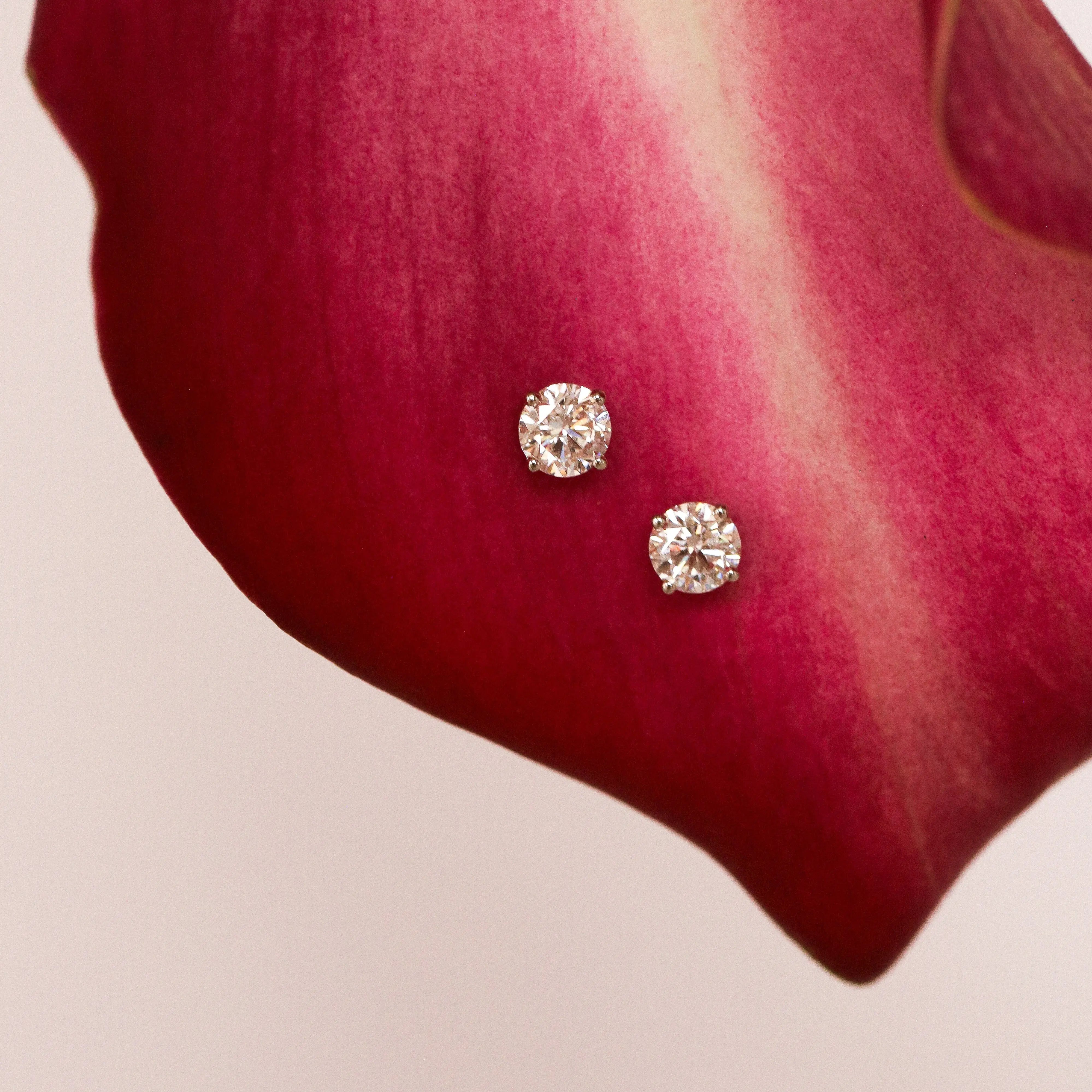 Pair of diamond stud earrings on a red flower petal