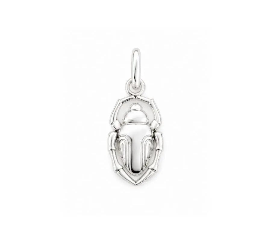 Scarab Protection Charm in silver