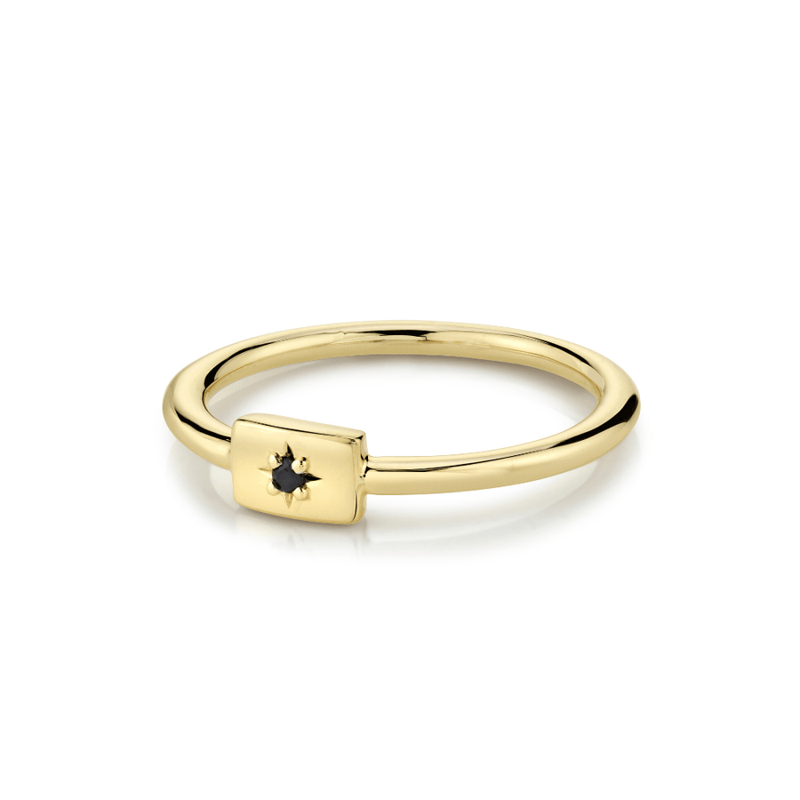 Marrow Fine Jewelry Black Spinel Birthstone Dainty Plate Stacking Ring [Yellow Gold]