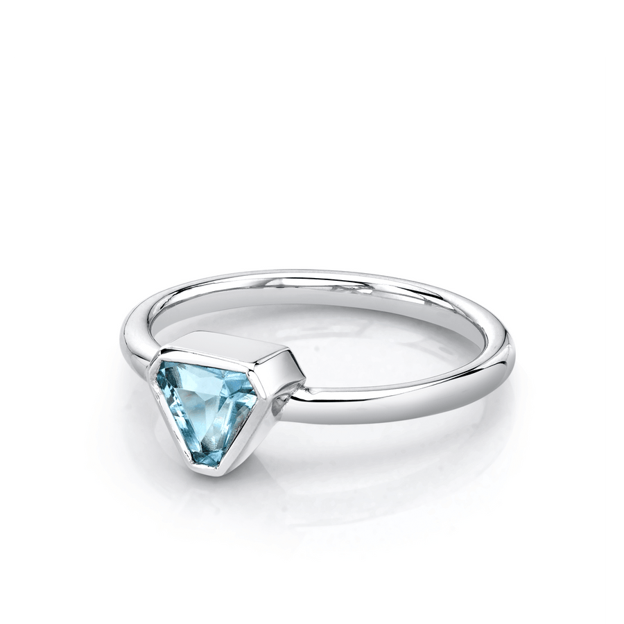 Marrow Fine Jewelry Aquamarine Bezel Trillion Ring [White Gold]