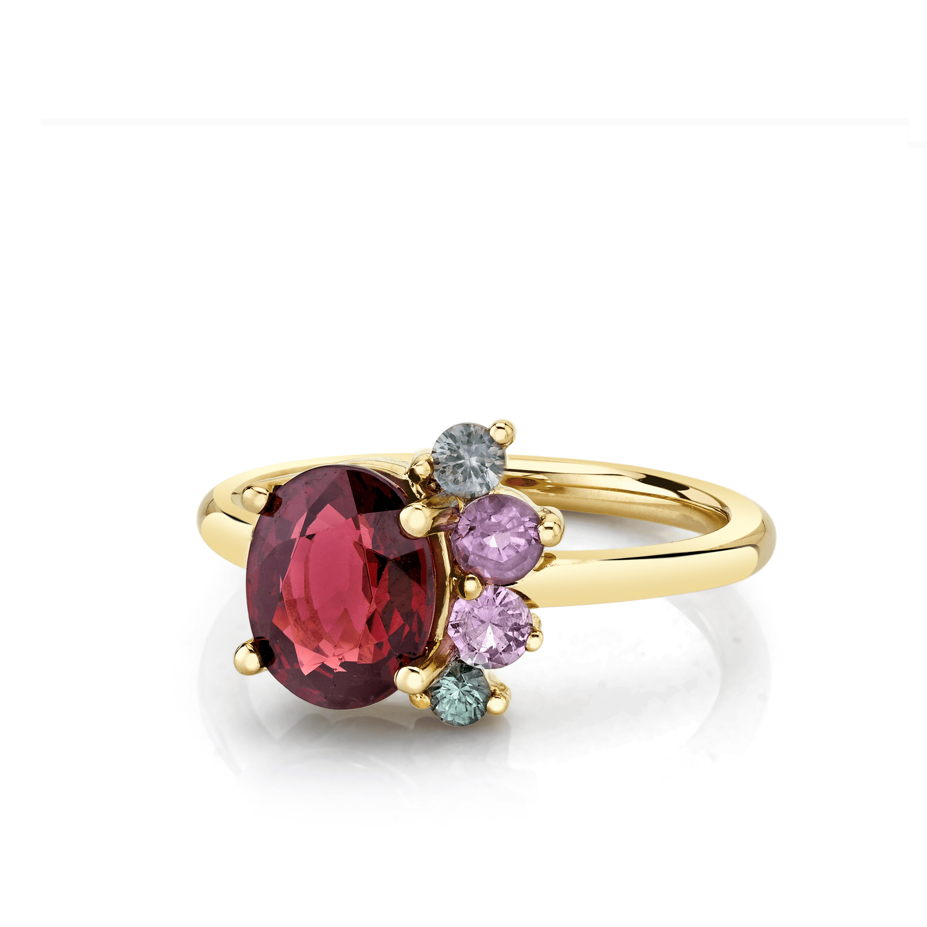 Marrow Fine Jewelry Garnet Sapphire Spray Ring
