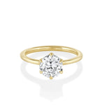 [yellow gold]